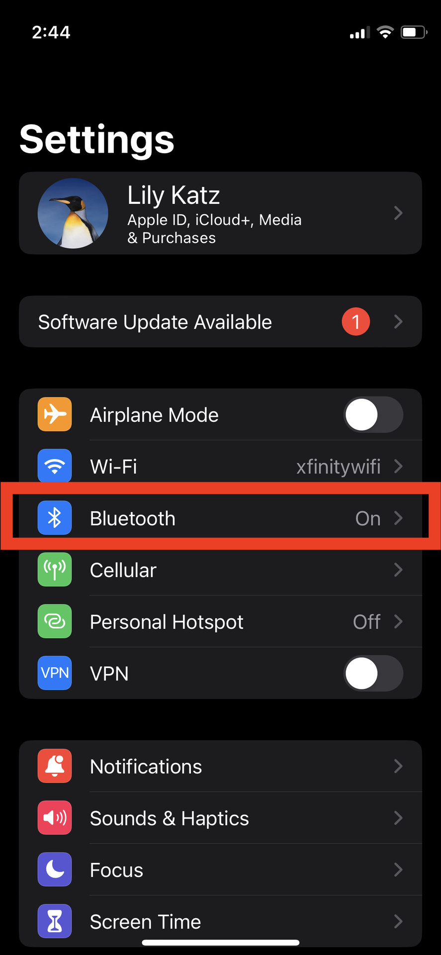 Reset AirPods Pro iPhone Bluetooth settings