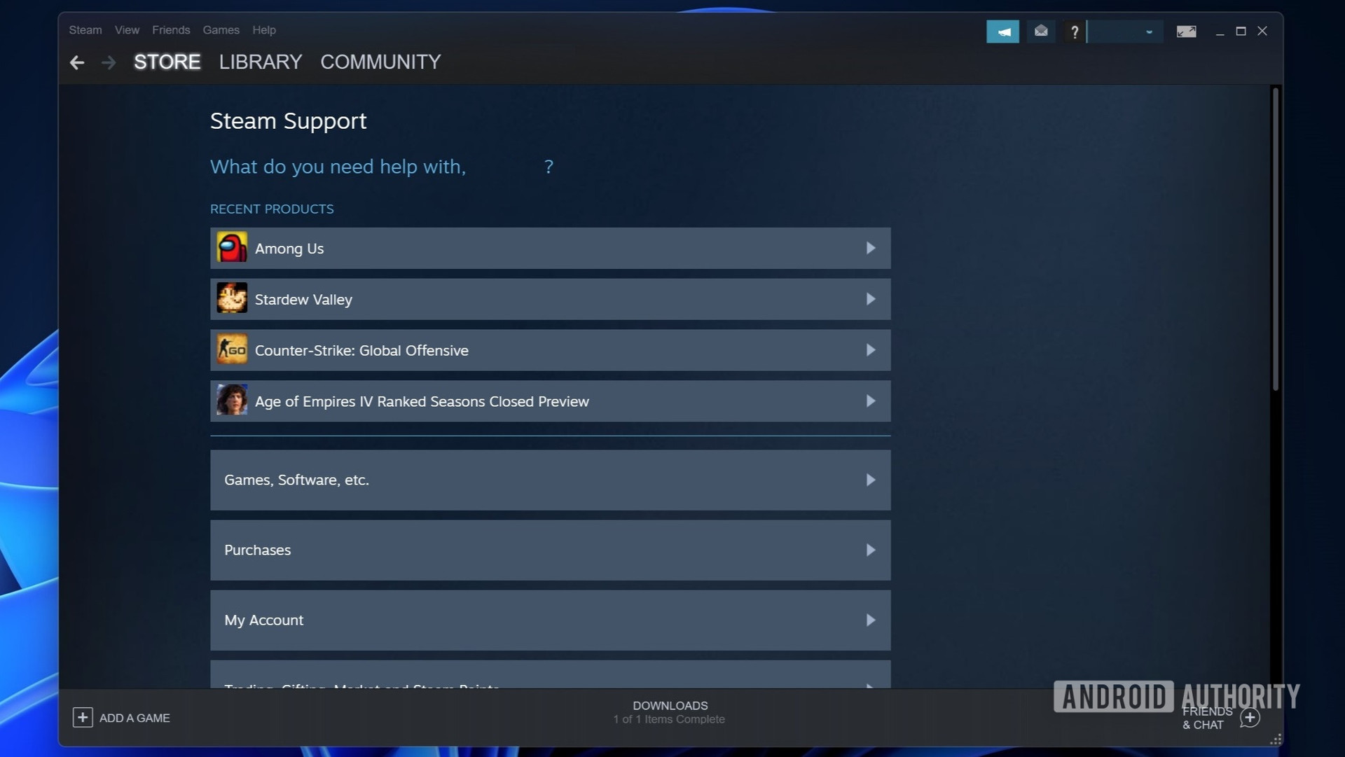 Steam support recent products