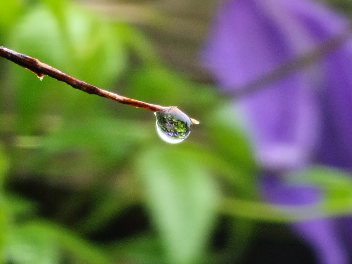 Waterdrop out of focus camera sample Galaxy S22 Ultra Expert RAW