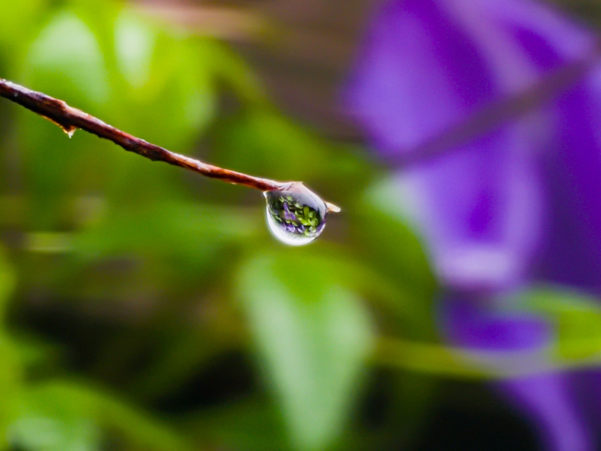 Waterdrop out of focus camera sample Galaxy S22 Ultra RAW Photoshop Edit