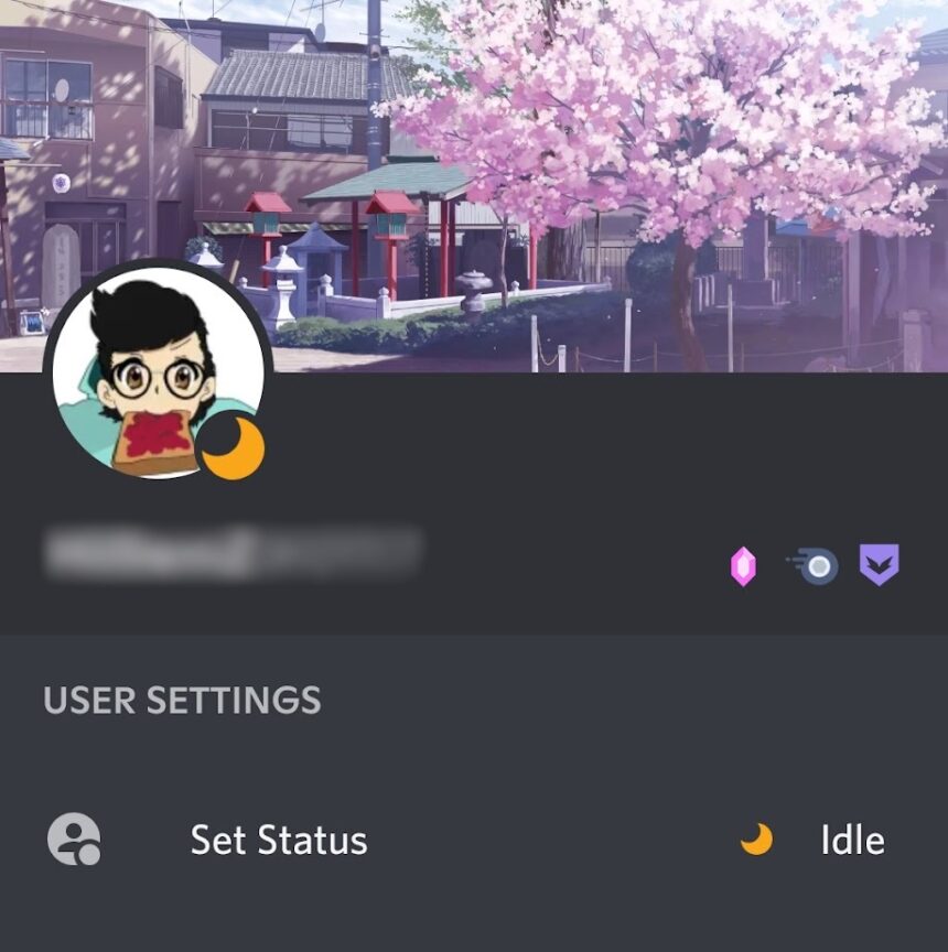 What does idle mean and how do you set it on Discord? Android Authority