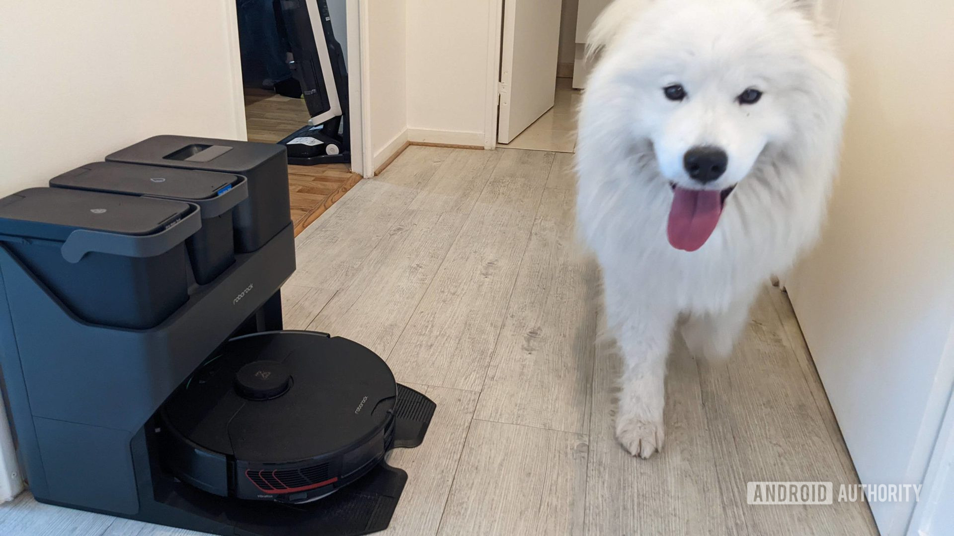 Roborock S7 MaxV Ultra with a smiling Samoyed dog