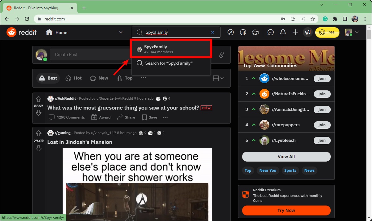 search your subreddit