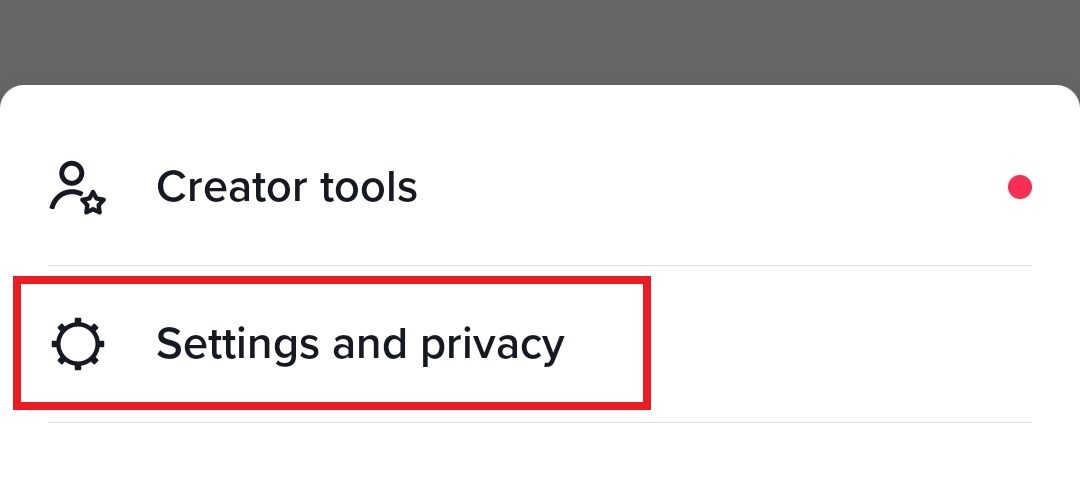 Settings Privacy TikTok