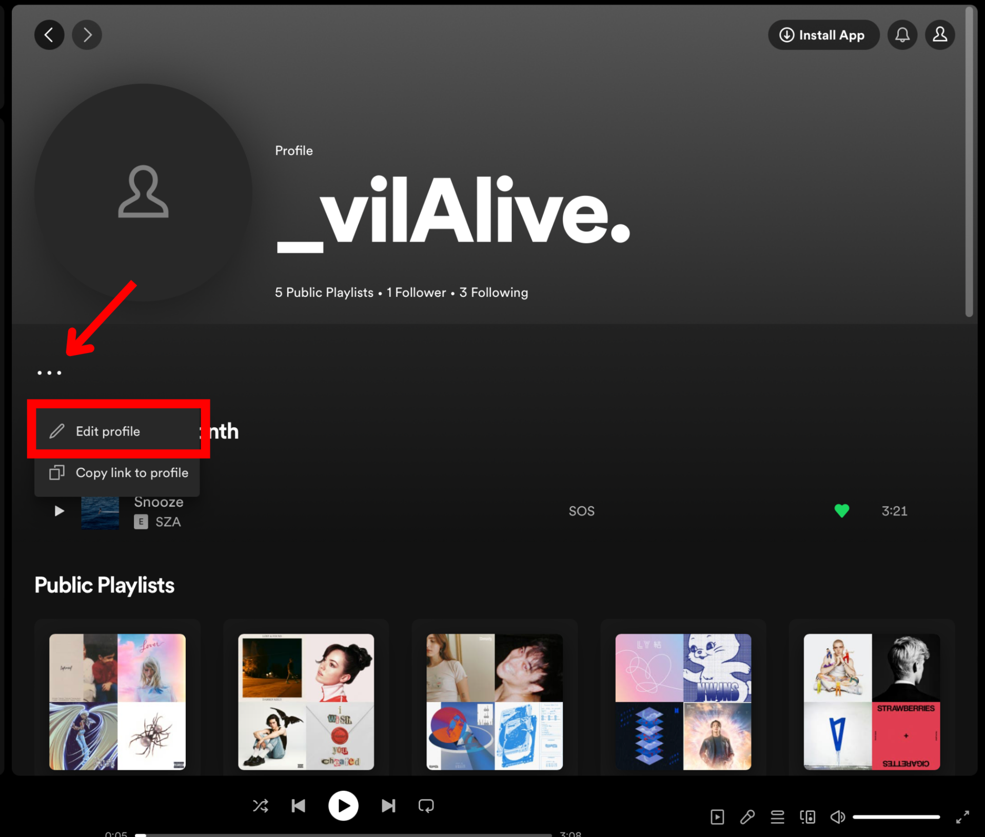 Spotify desktop profile option menu edit