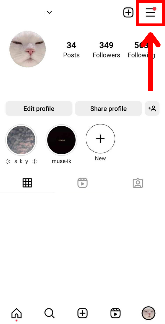 Instagram app profile page hamburger button