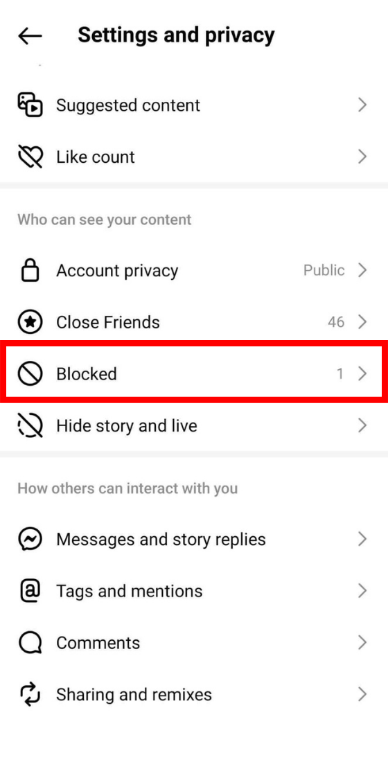Instagram app settings and privacy blocked