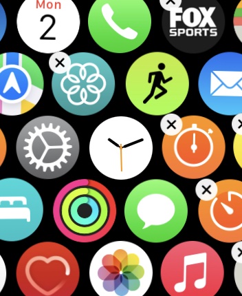 Apple Watch Grid View Delete App