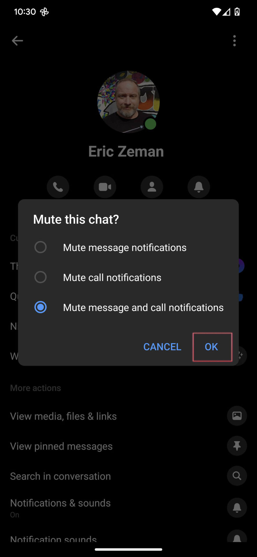 How to mute a conversation on Facebook Messenger app 3