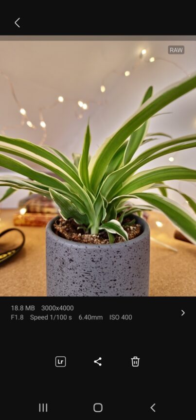 Samsung Expert RAW: How to use Samsung's advanced photo app