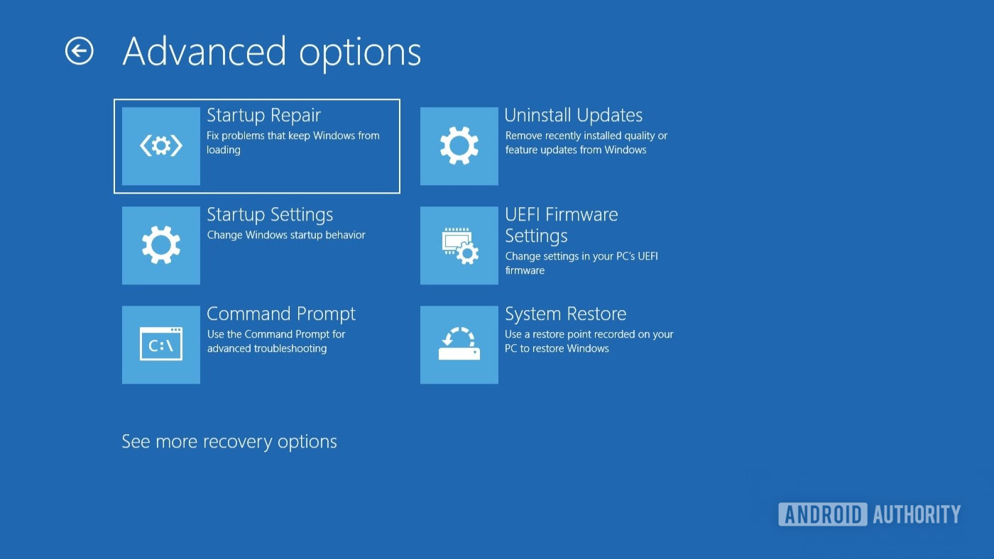 Windows 10 advanced options