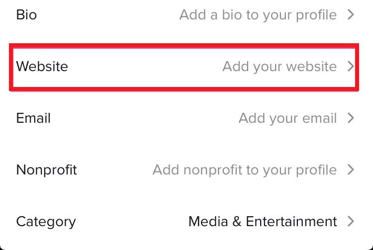 add website link bio tiktok