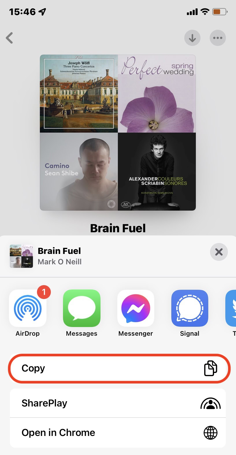 apple music ios share menu