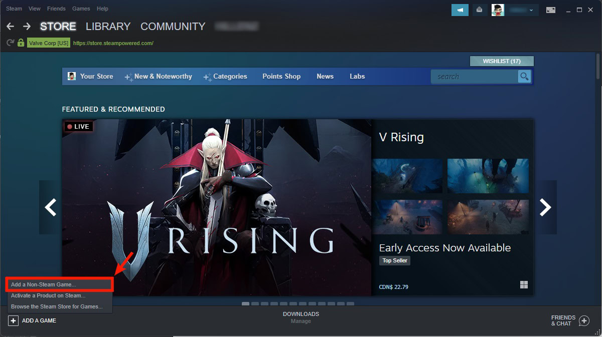 click add a non steam game