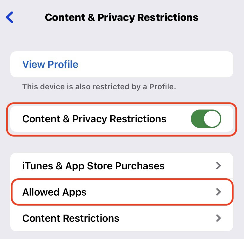 ios toggle content restrictions