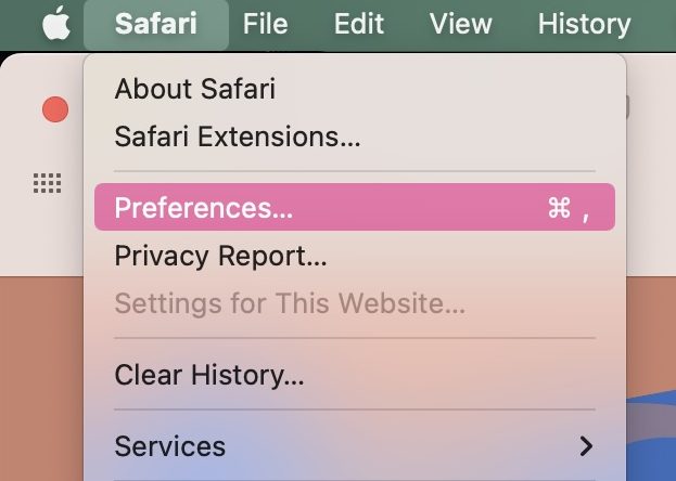 macos safari preferences