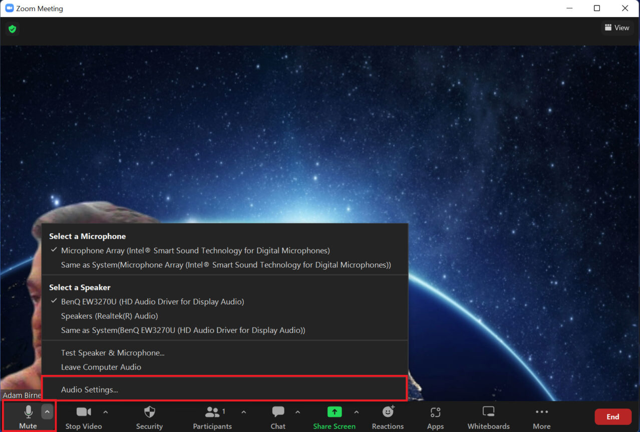 How to mute or unmute yourself on Zoom Android Authority