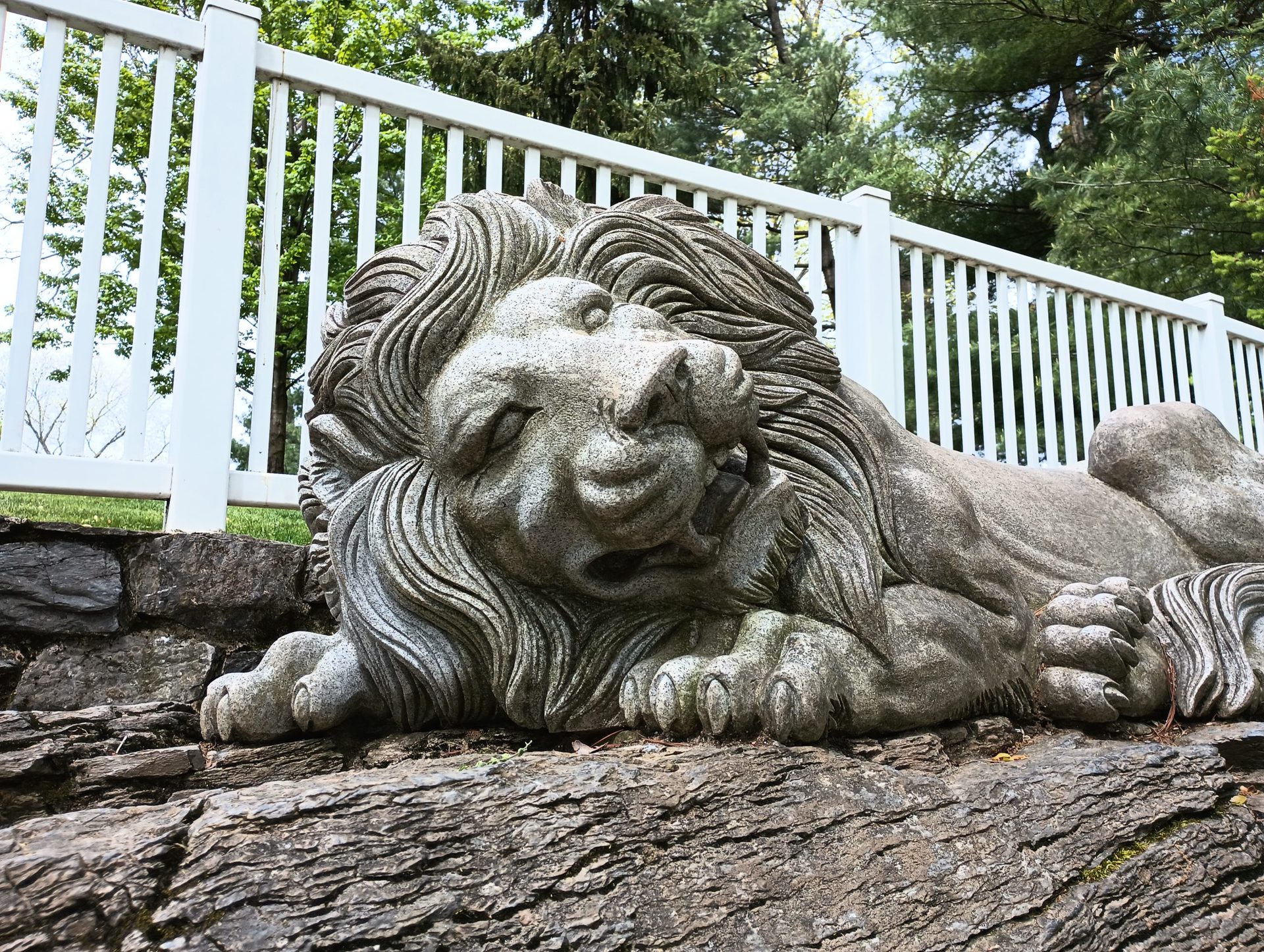 moto g 5g closeup of lion statue