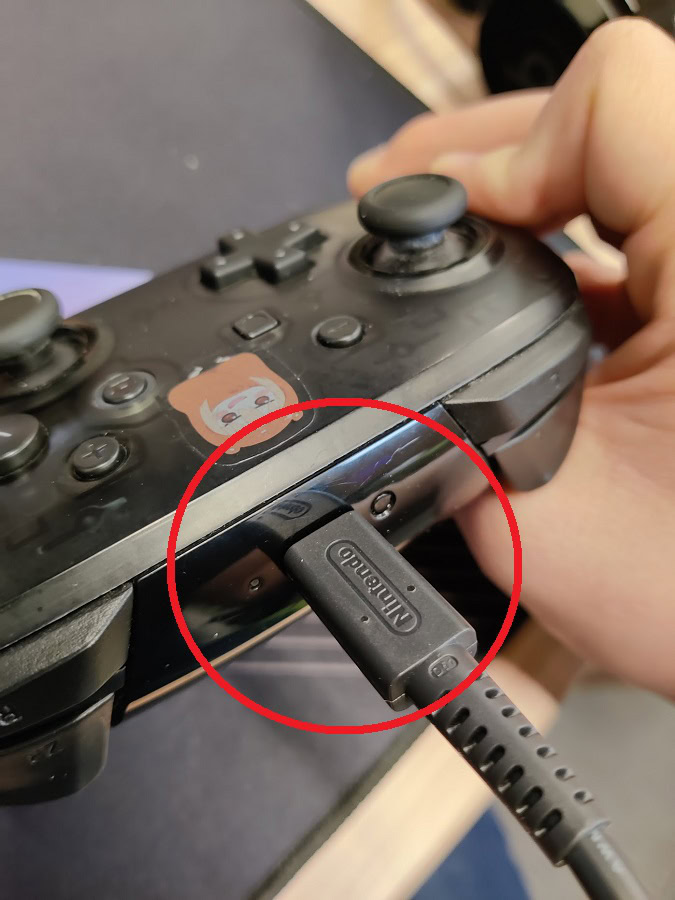 Mission Pasture Virus How to connect Switch Pro Controller to PC - Android Authority