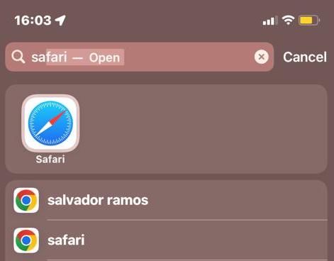 safari ios search