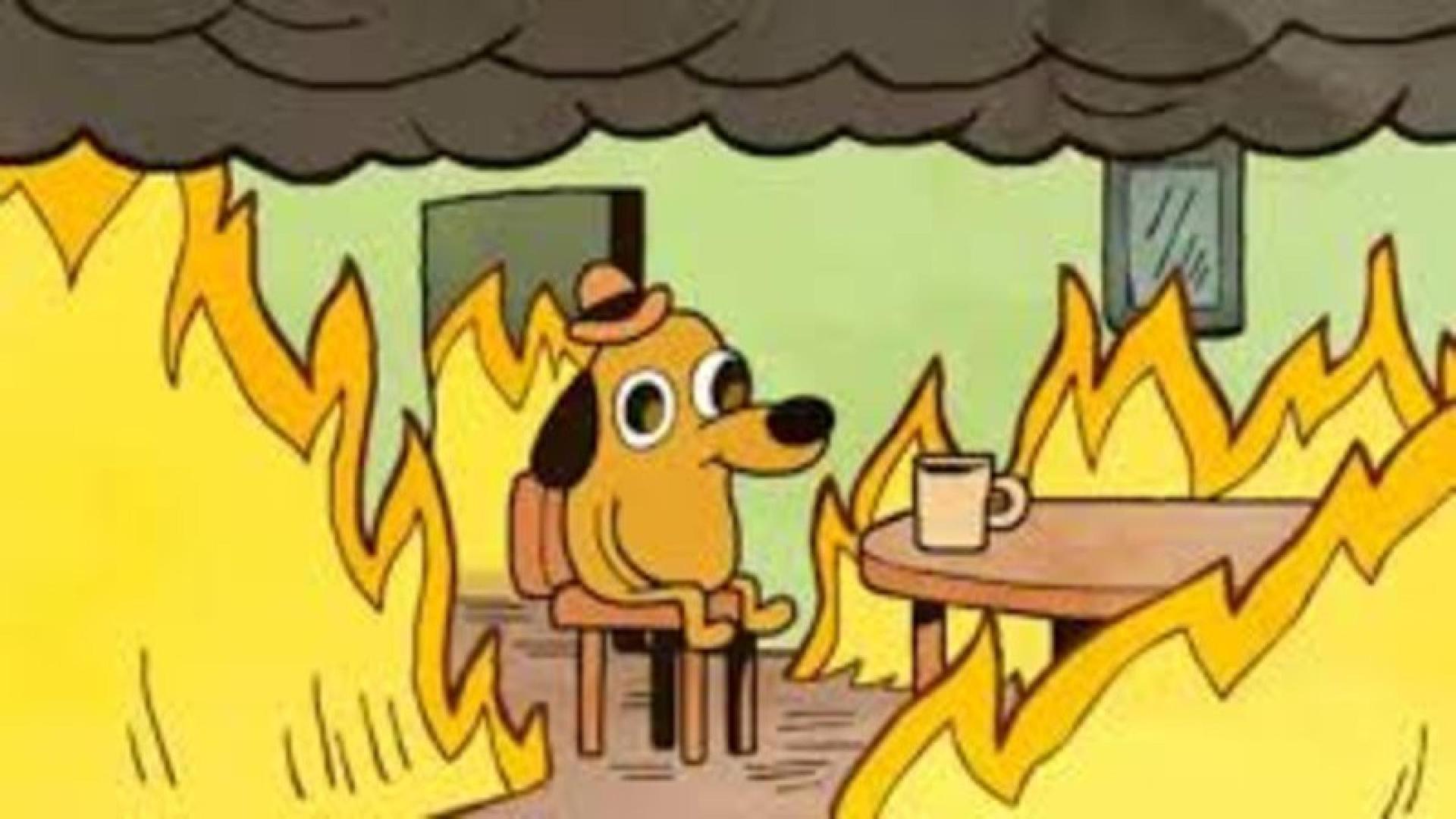 thisisfine