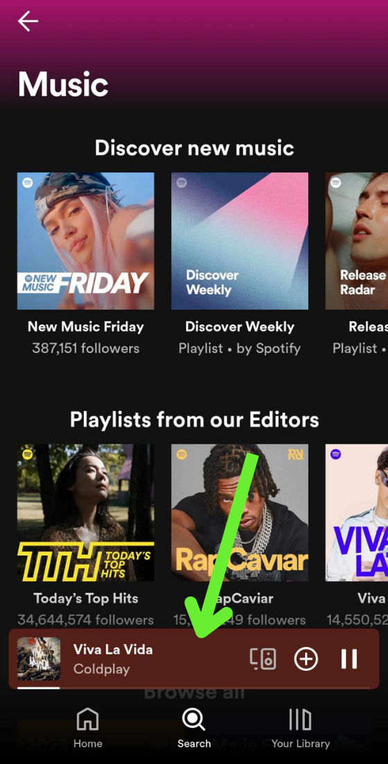 Spotify app playback tab viva la vida