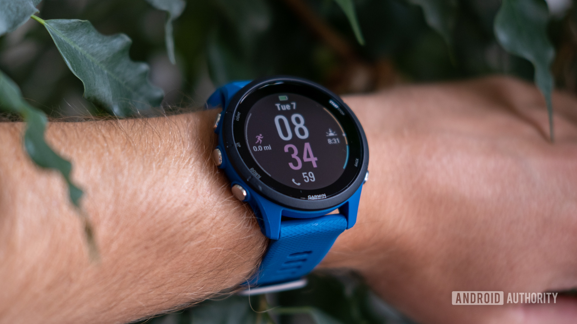 Garmin Forerunner 255 review: Running back to the top Android Authority