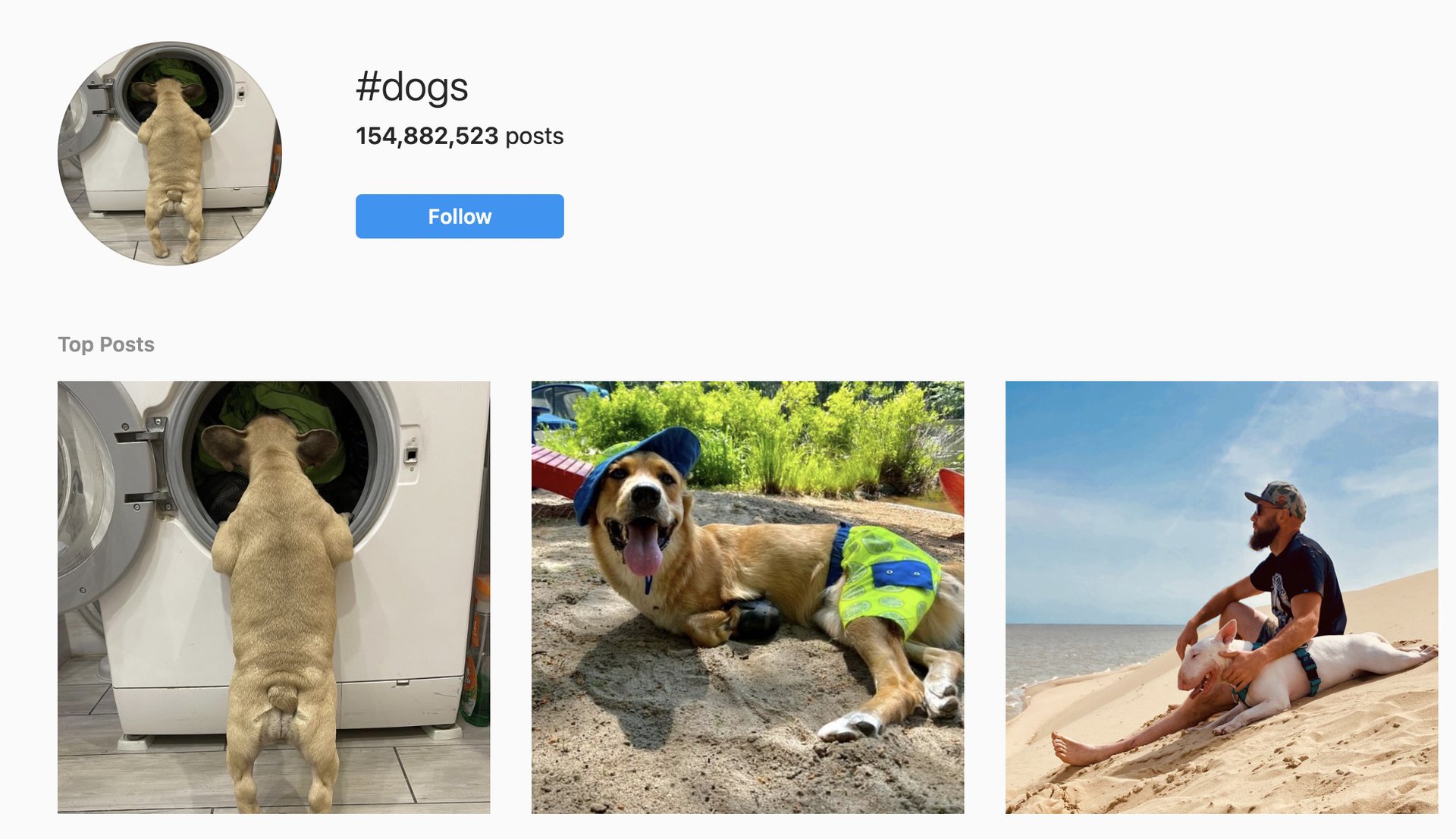 instagram hashtag results page