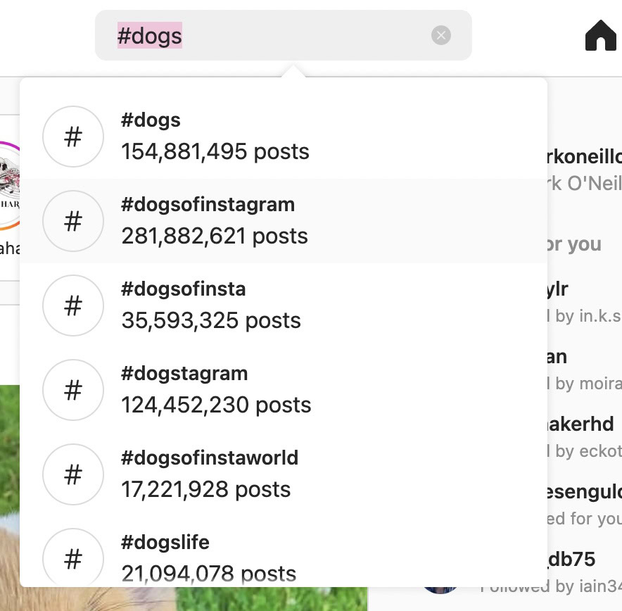 búsqueda de hashtags en instagram