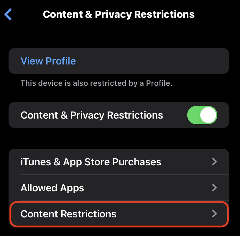 ios content restrictions