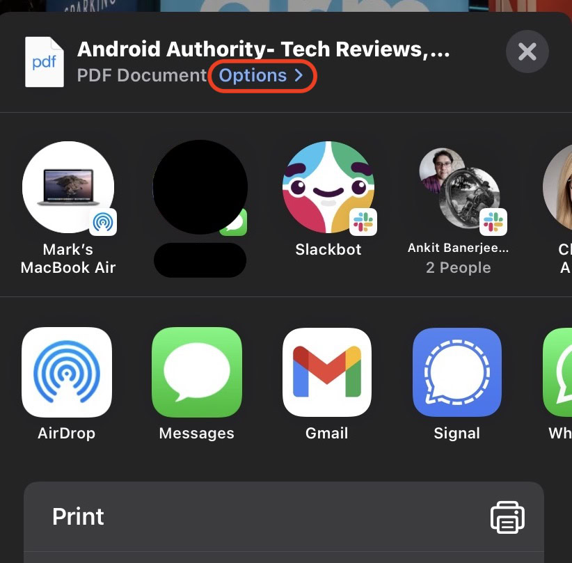 ios share menu options