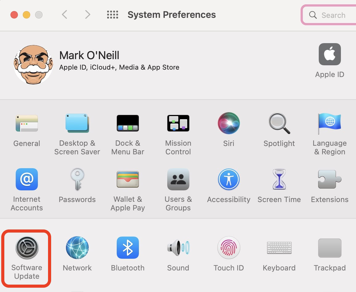 mac system prefs software update
