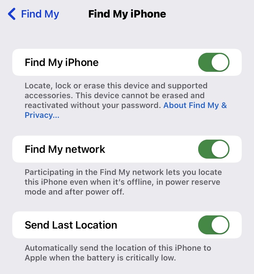Find my iPhone options