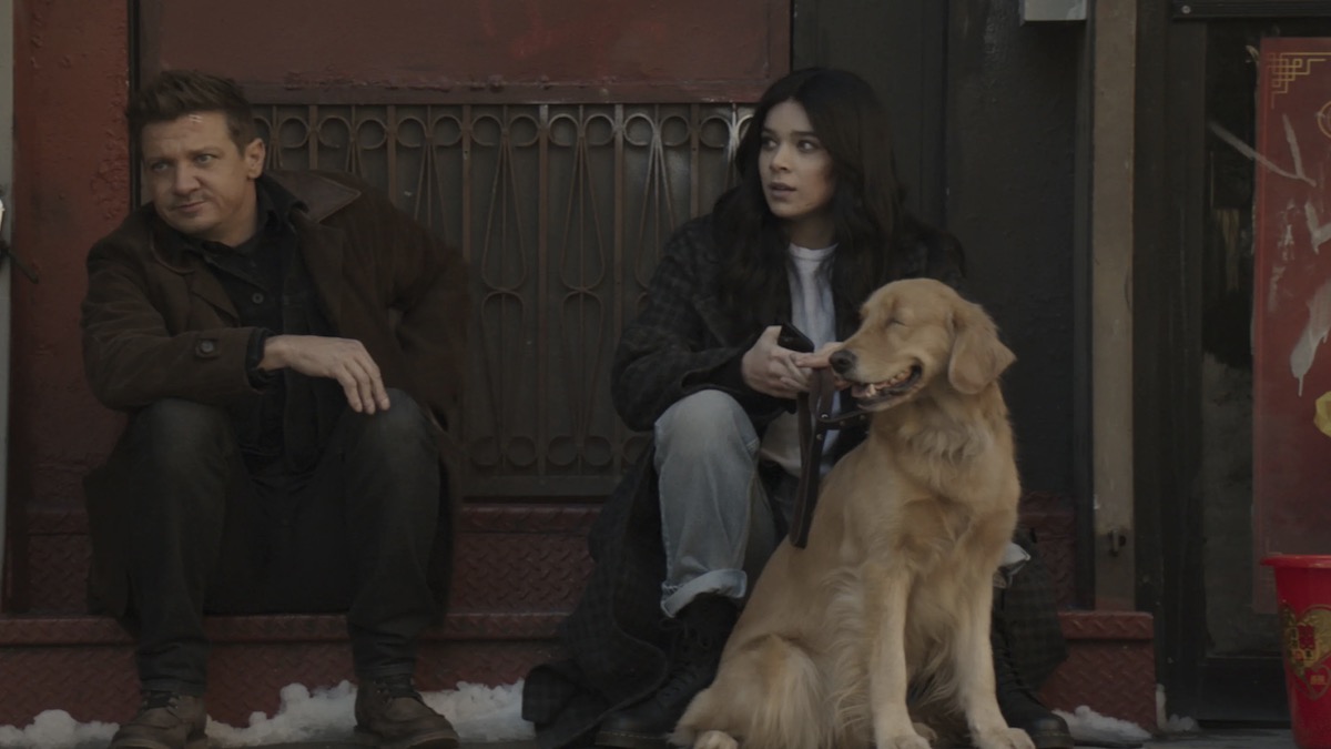 Clint and Kate sitting on a stoop with Pizza Dog in Hawkeye - best MCU shows ranked