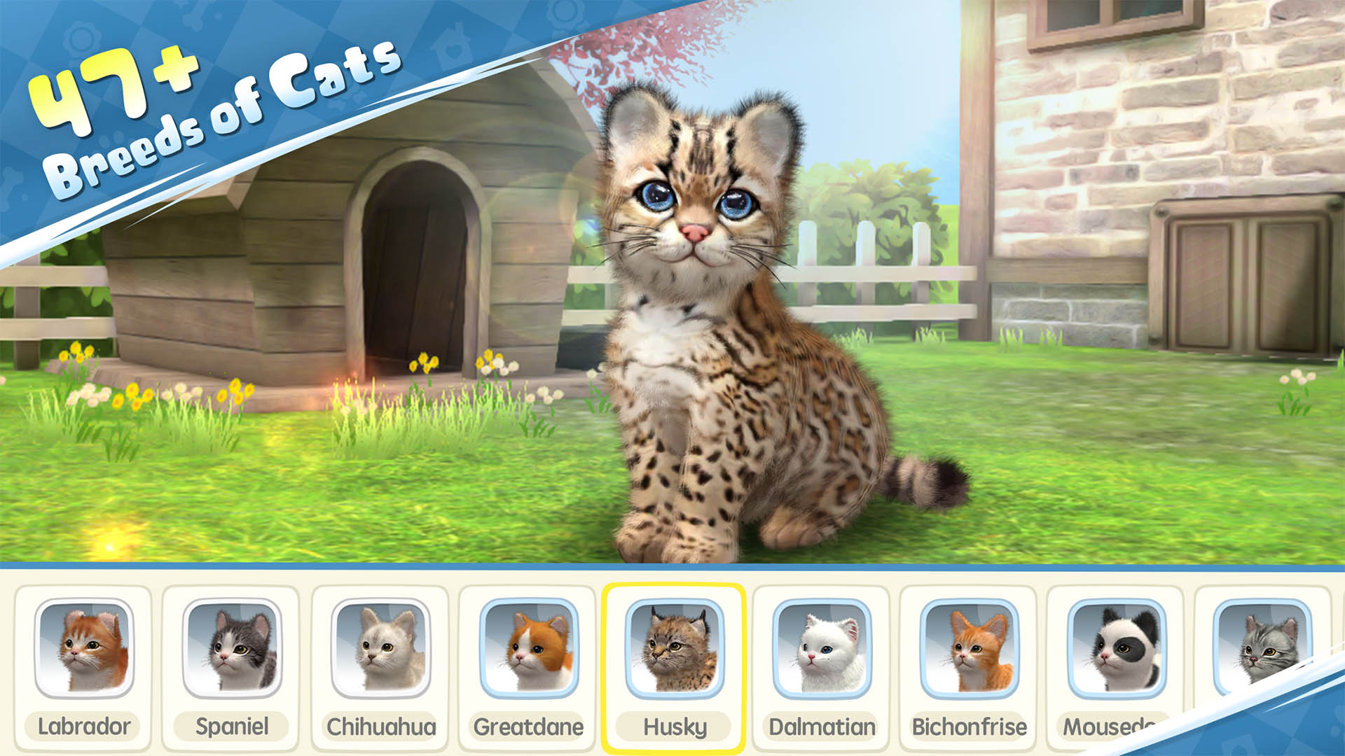 My Cat 2022 screenshot