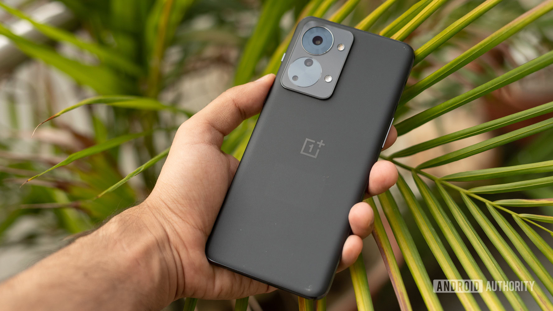 OnePlus Nord 2T in hand outdoors