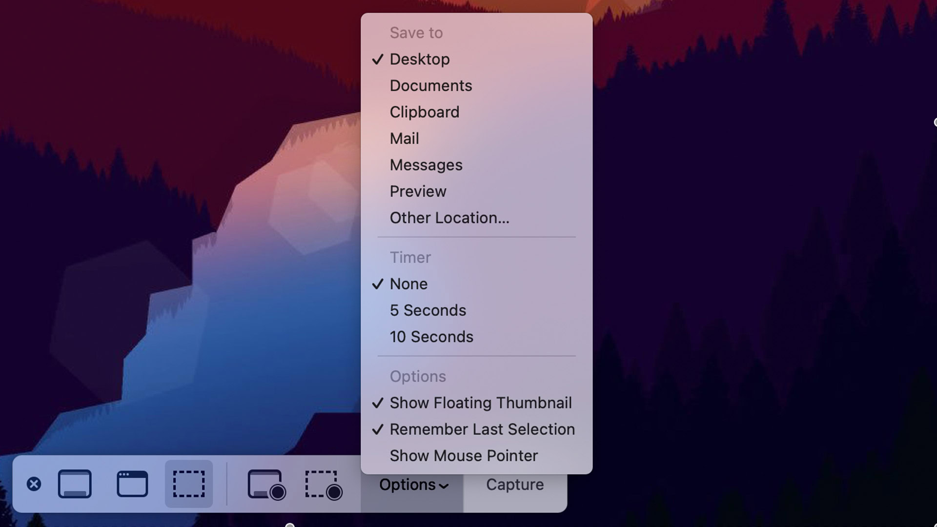 Screenshot options macOS