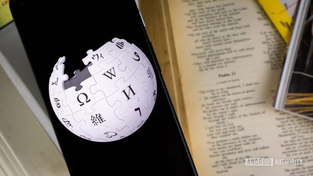 IS WIKIPEDIA A PUBLIC COMPANY visual data 8