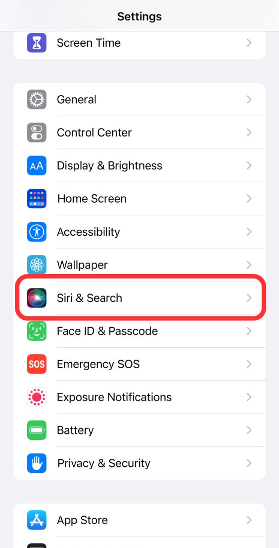 iOS siri and search