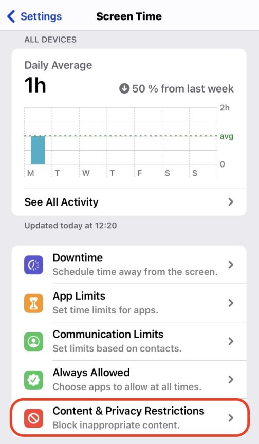 How to set up, use, and remove iPhone Restrictions Android Authority