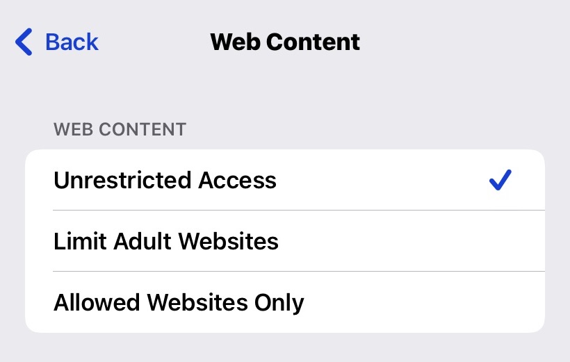 web content ios restrictions