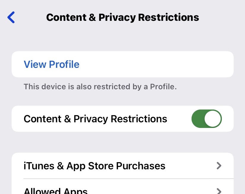 ios enable content restrictions