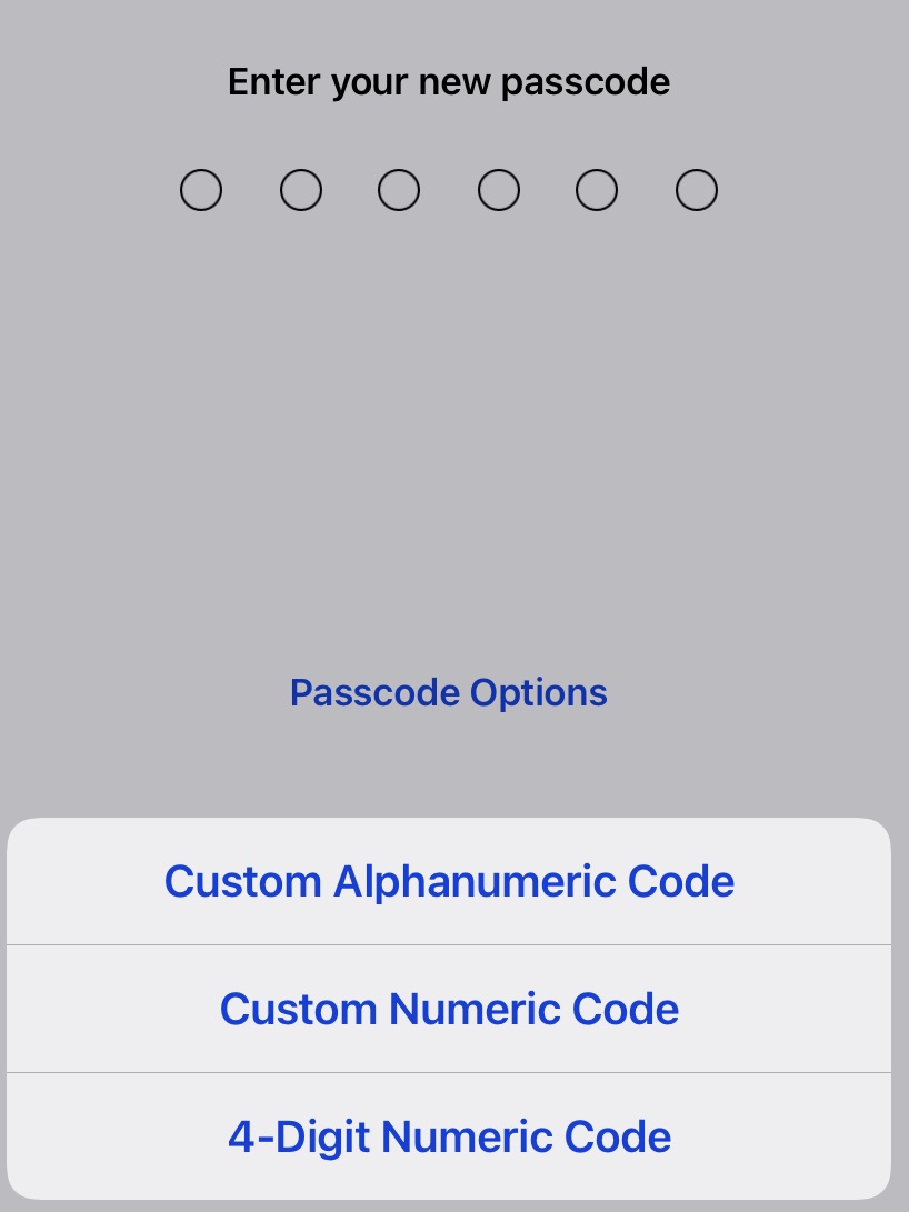 iphone passcode options