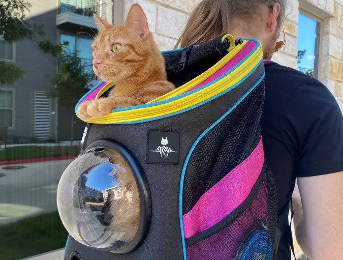 stray backpack