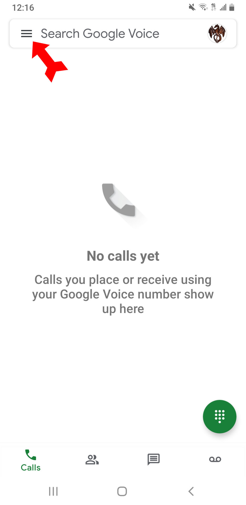 Google Voice Home Page