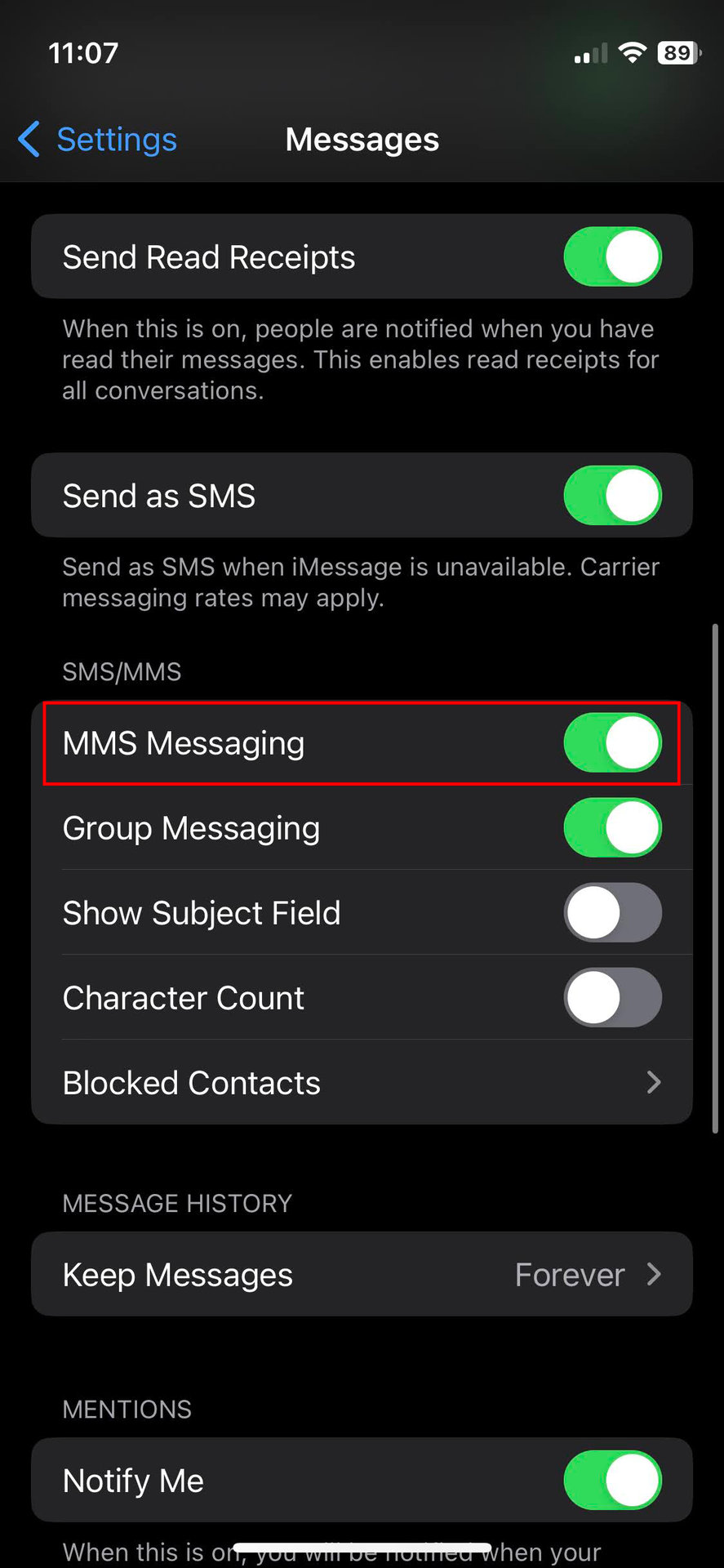 How to check if MMS Messaging on iPhone is turned on 2