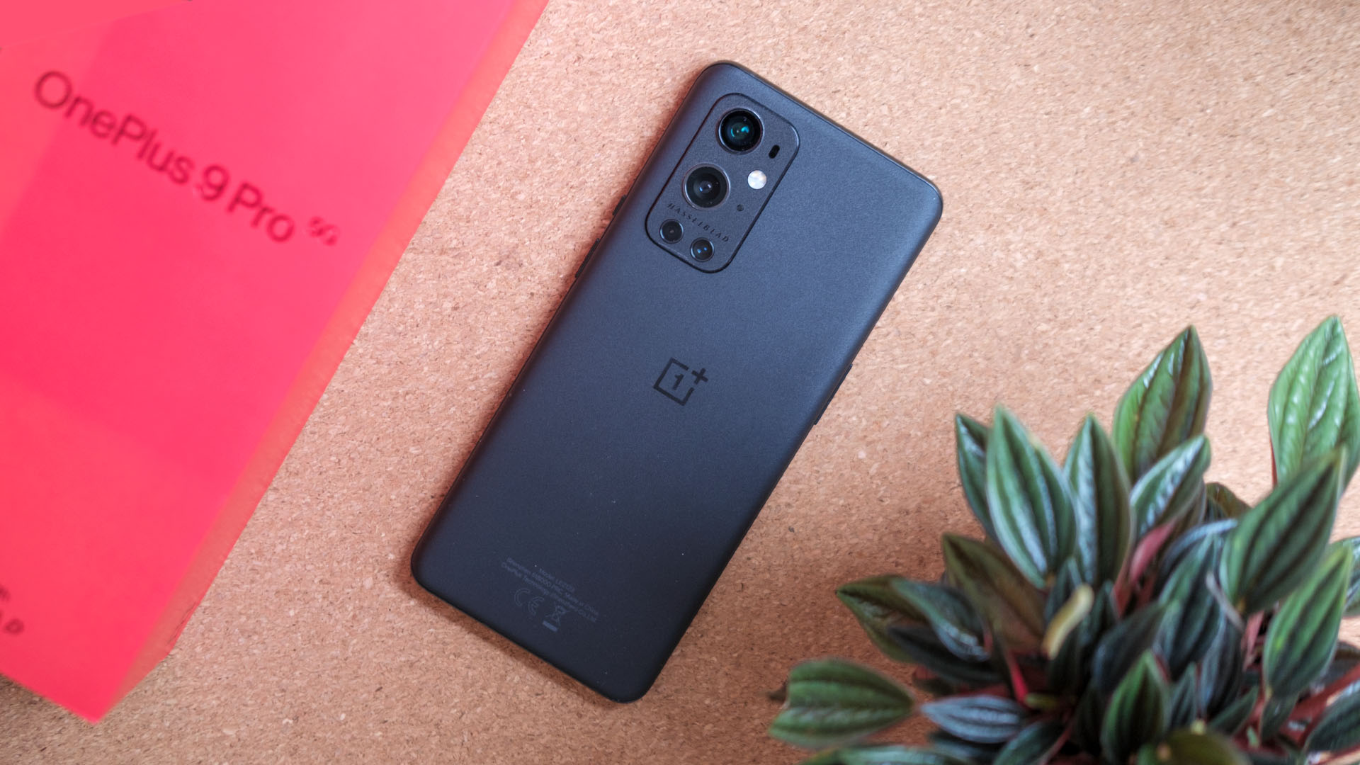 OnePlus 9 Pro back with box
