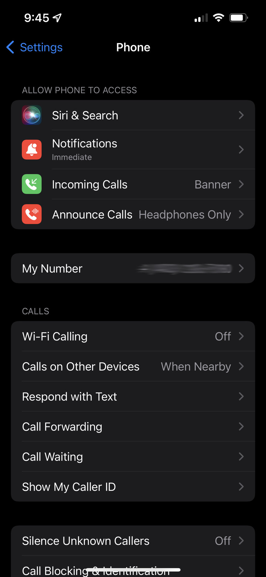 Phone settings in iOS 15 censored