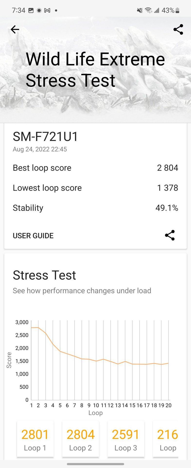 Samsung Galaxy Z Flip 4 wild life stress test