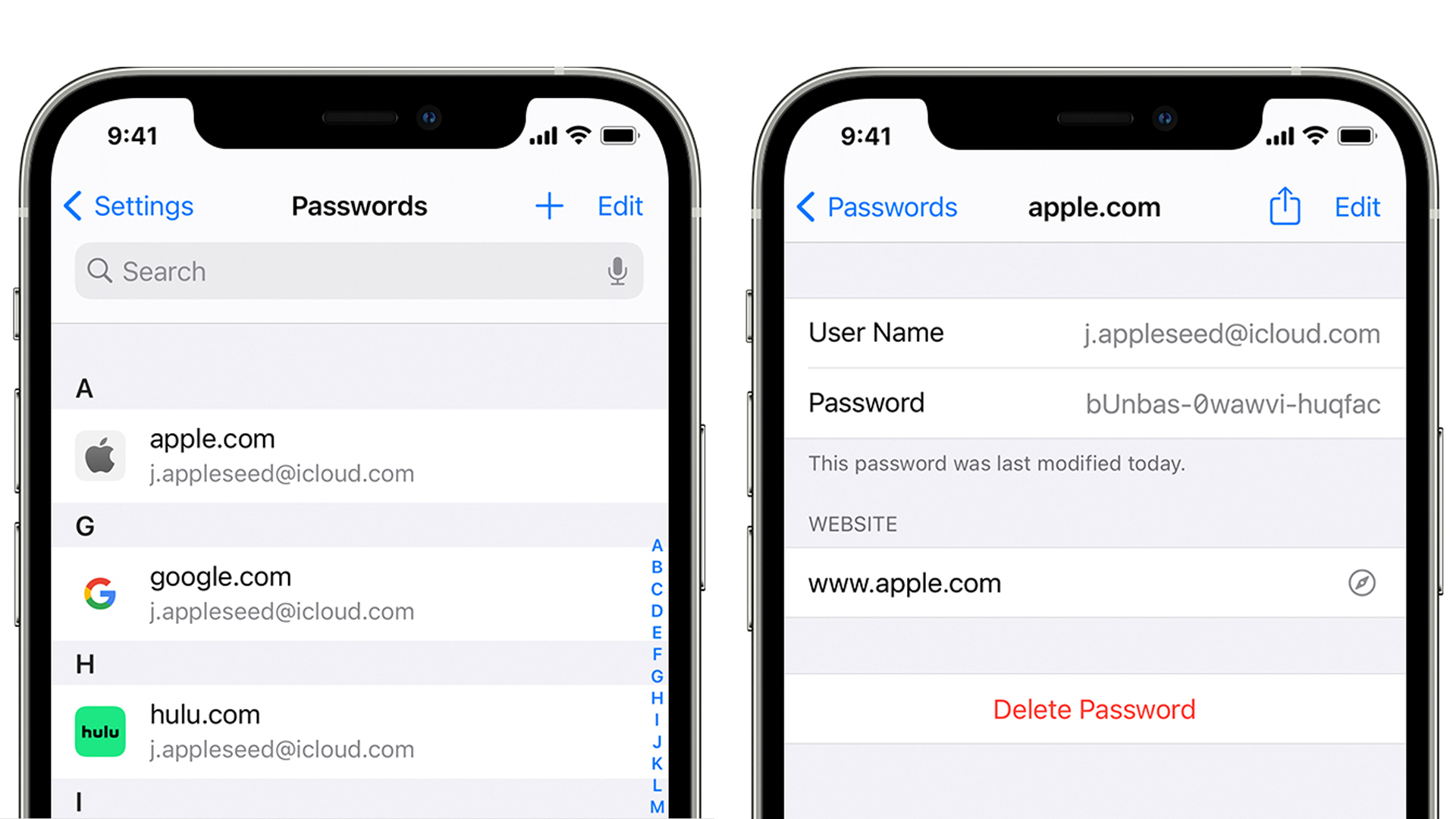 The iOS 14 Passwords menus in Settings